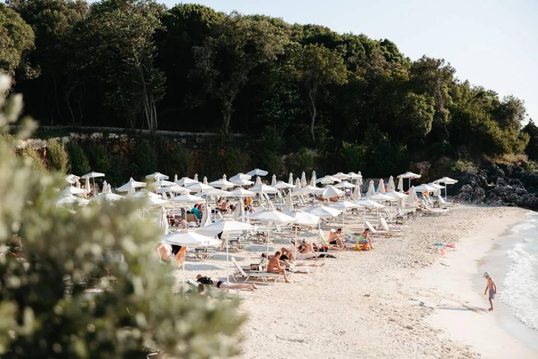 Parasols and loungers on the beach below the pine slope
