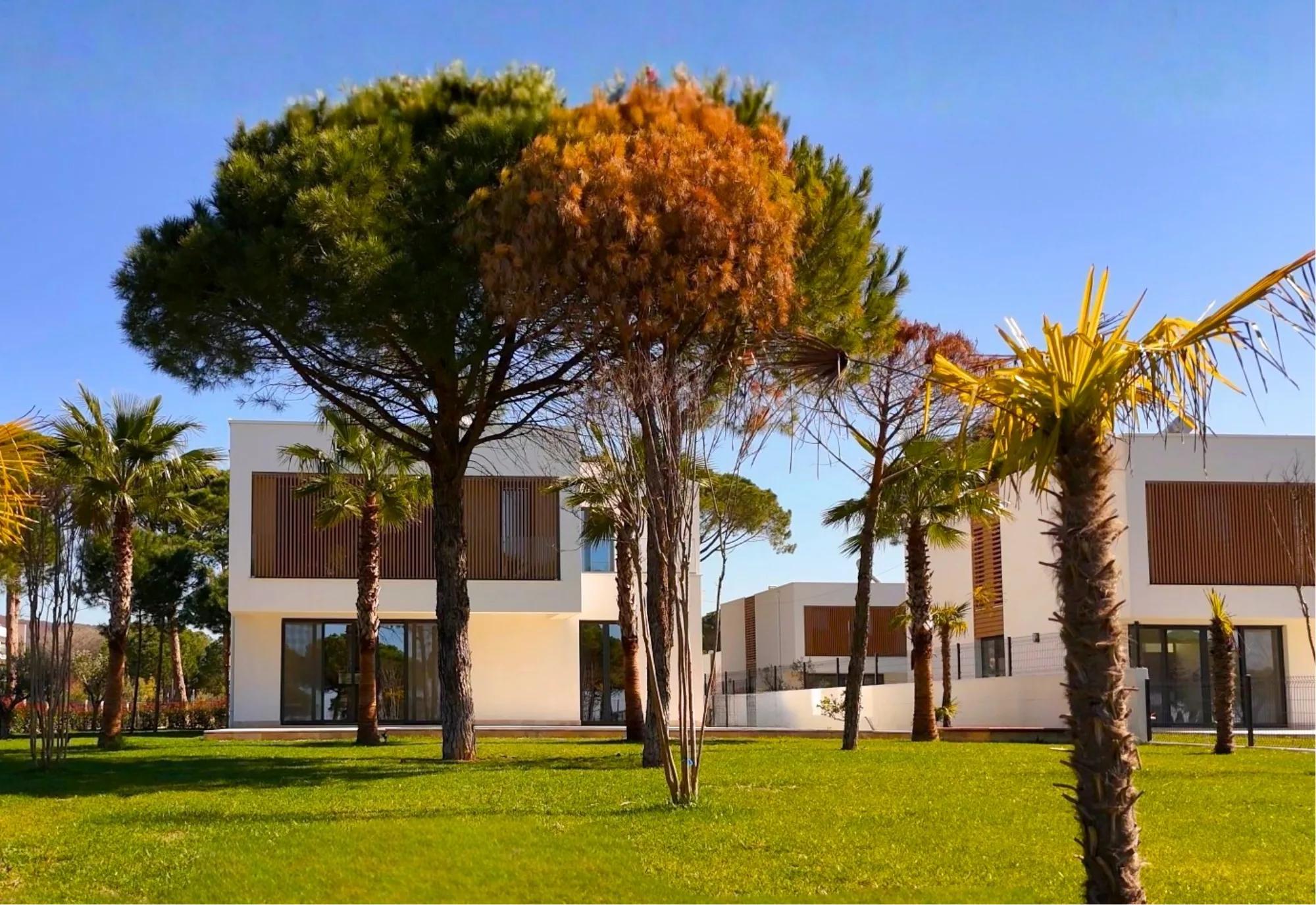 A villa's pool and terrace at dusk